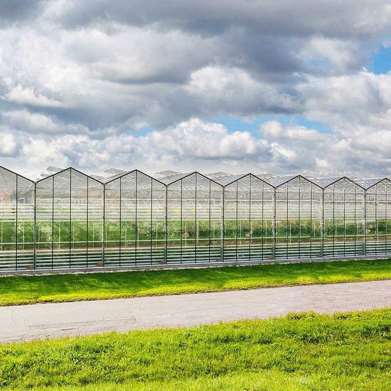 Casa de estufa de vidro