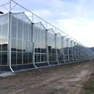 China Venlo Glass Greenhouse para Oriente Médio