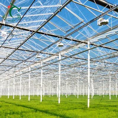 China Venlo Glass Greenhouse For Saudi Arabia