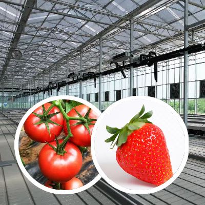 China Venlo Glass Greenhouse For Tajikistan