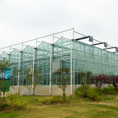 China Venlo Glass Greenhouse For Tajikistan