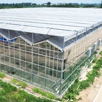 Estufa de Venlo
